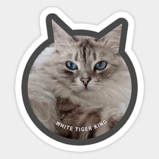 White Tiger King Sticker